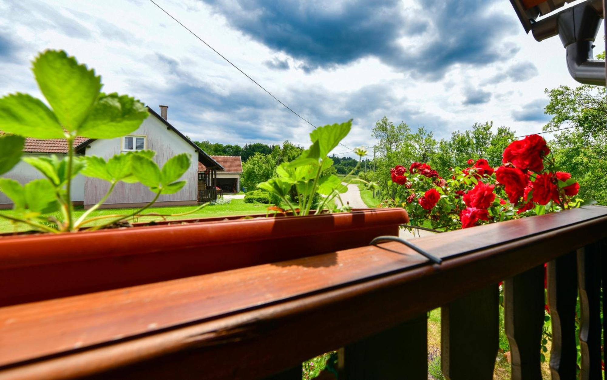 Apartment Ivano Rakovica Zewnętrze zdjęcie