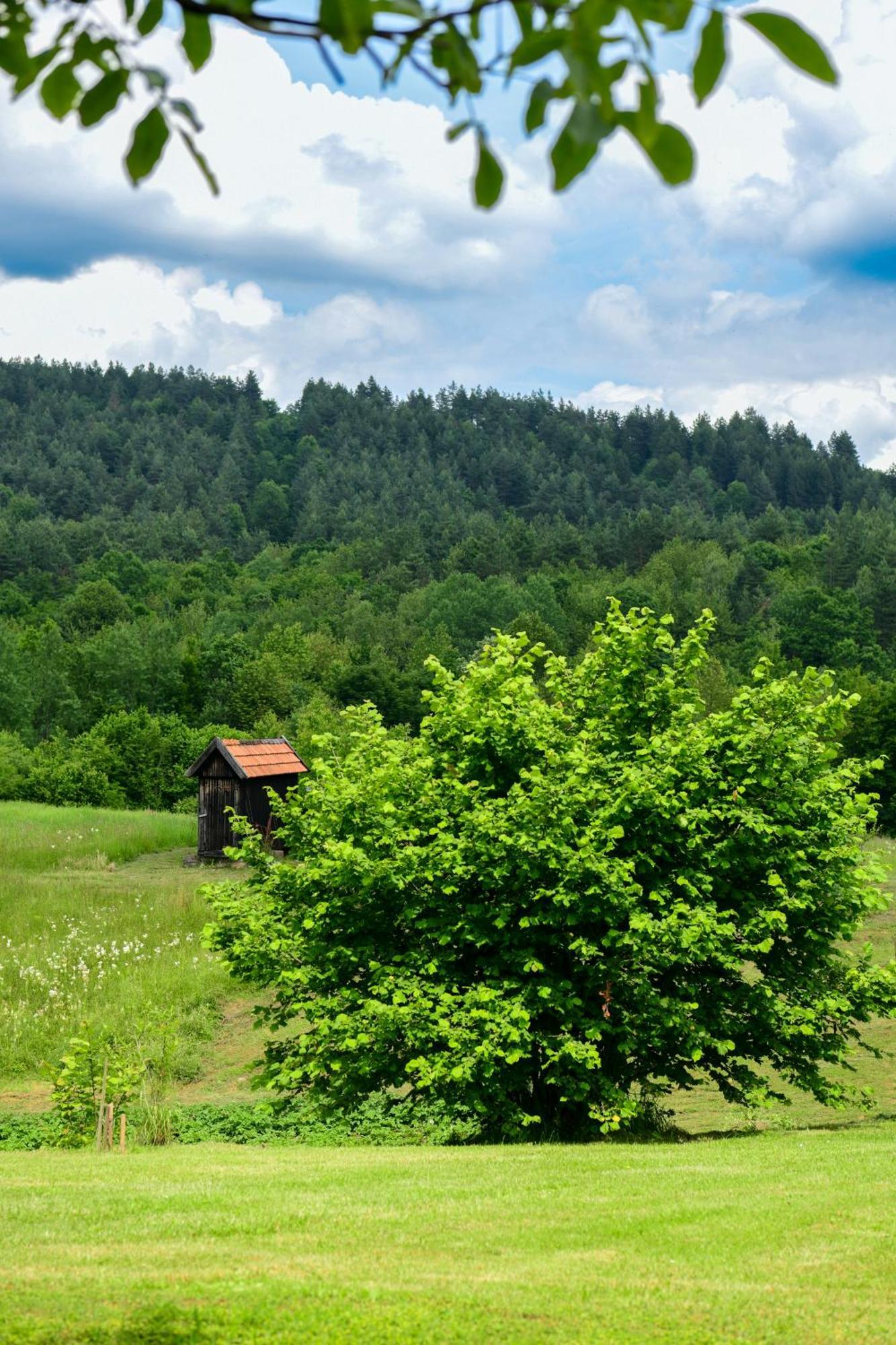 Apartment Ivano Rakovica Zewnętrze zdjęcie