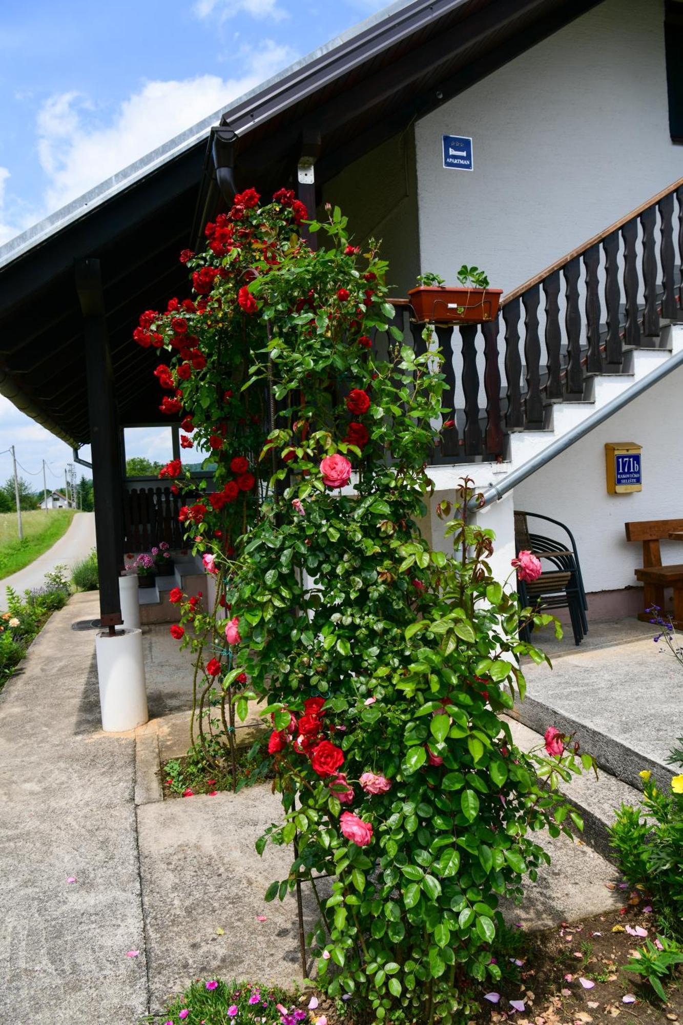 Apartment Ivano Rakovica Zewnętrze zdjęcie